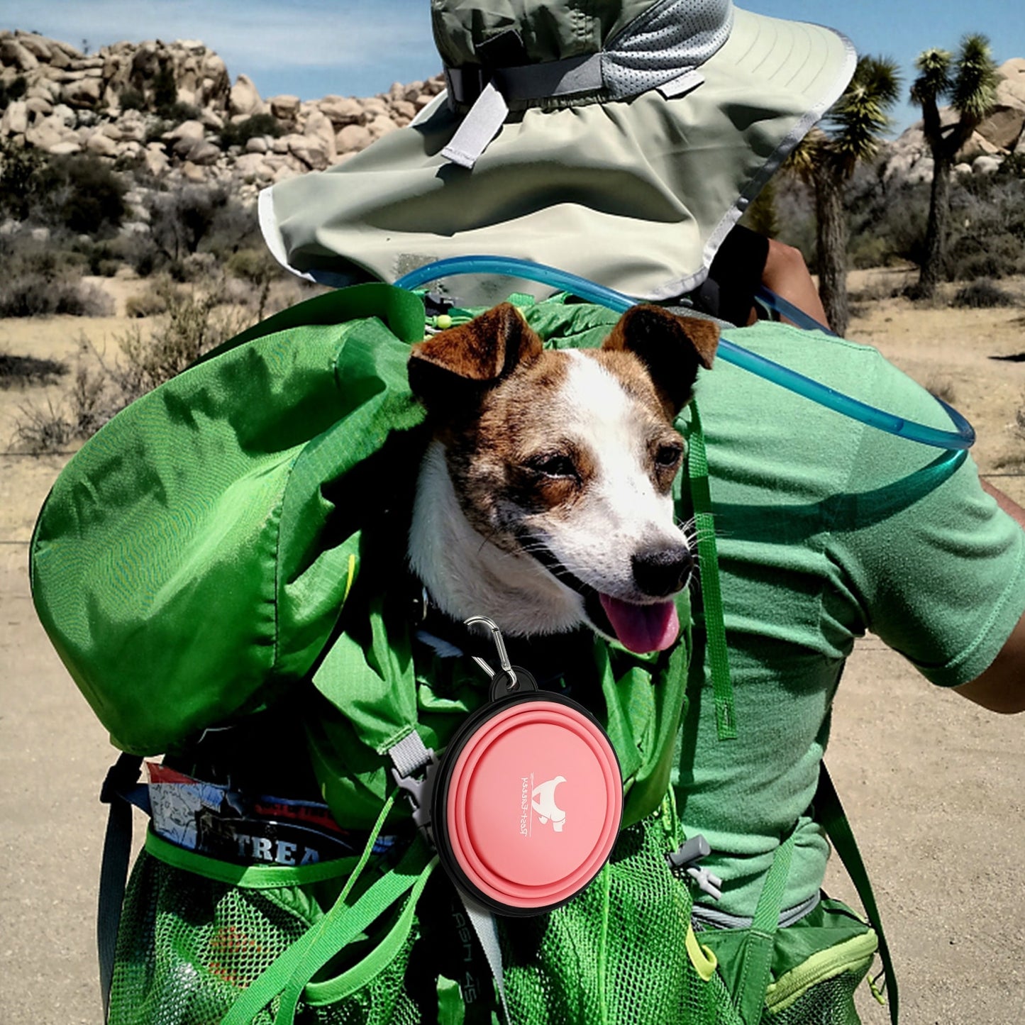 FurryBaby Collapsible Water Bowls