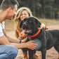 FurryBaby Collapsible Water Bowls