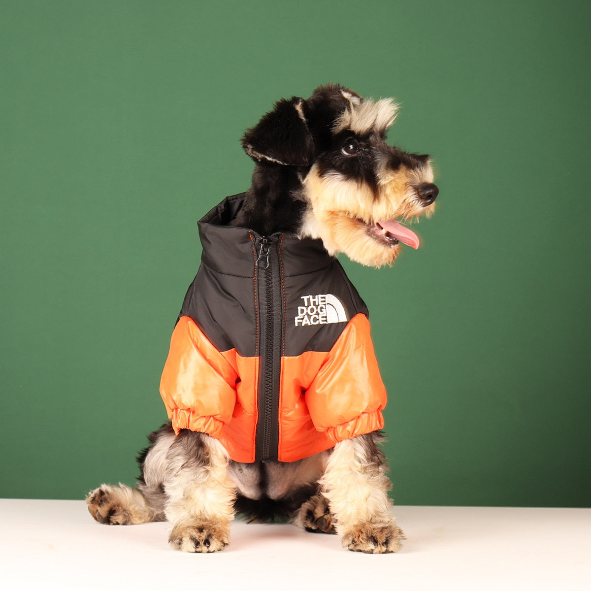 Dog Winter Jacket