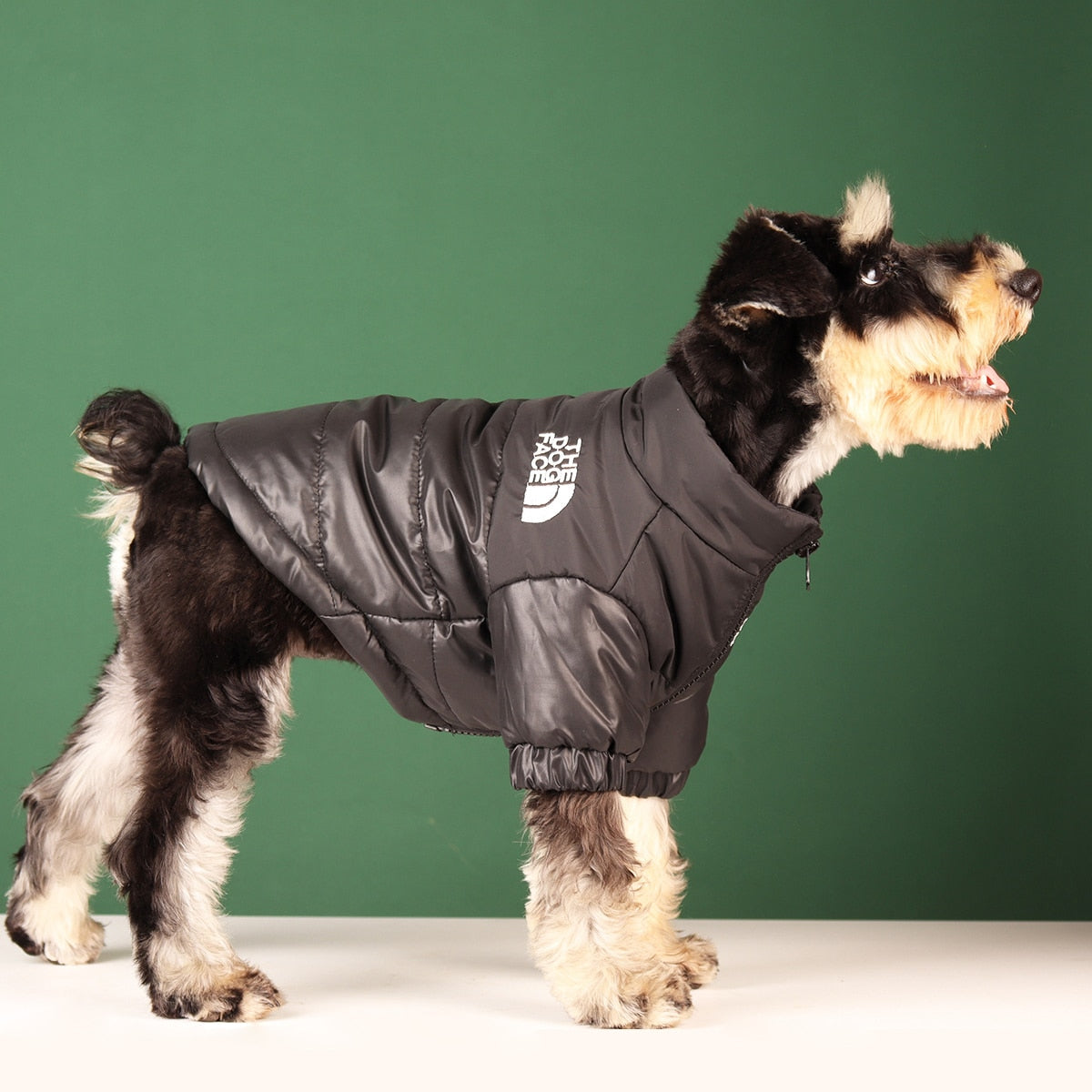 Dog Winter Jacket